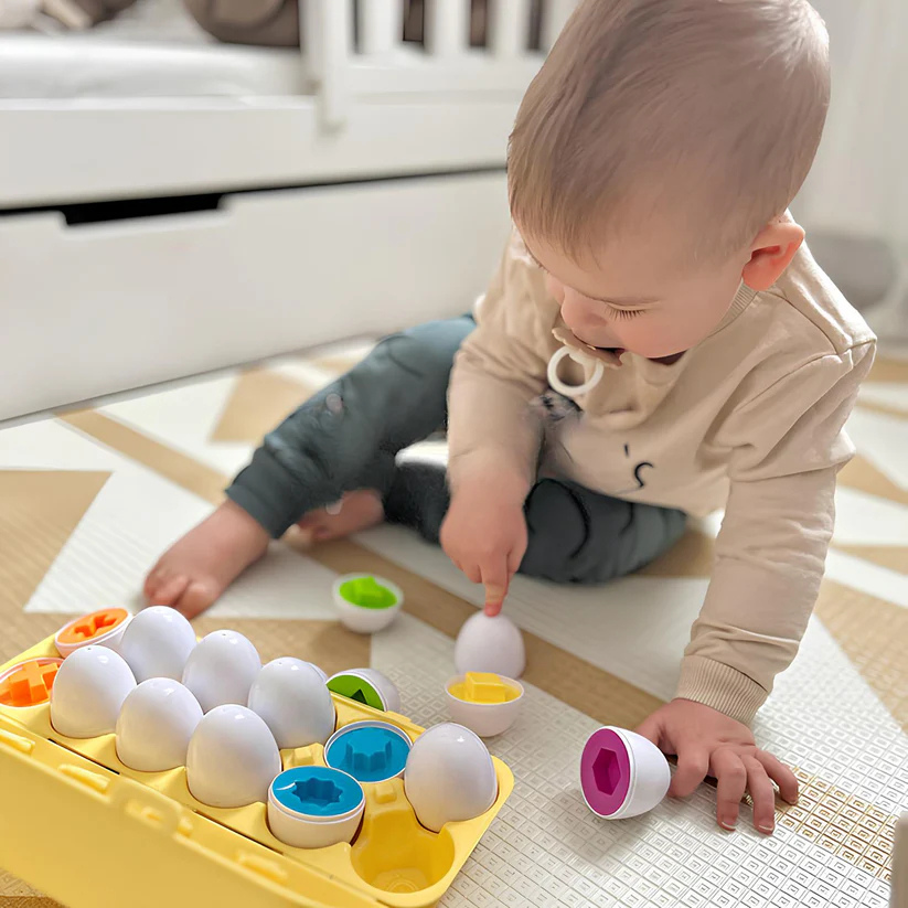 Sortierspiel für Babys mit zwölf Eiern in einer Box